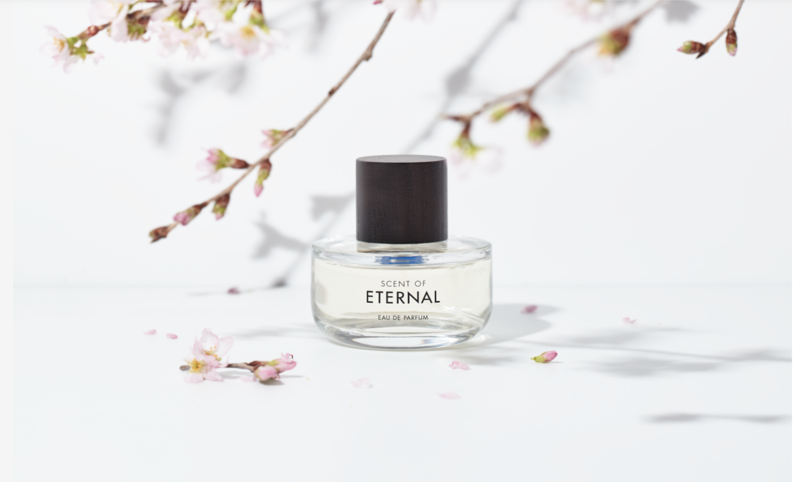 赤西仁 ⾚⻄仁プロデュース「SCENT OF ETERNAL（セントオブエターナル 